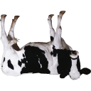 cow-pun emoji