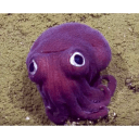 hooray-squid emoji